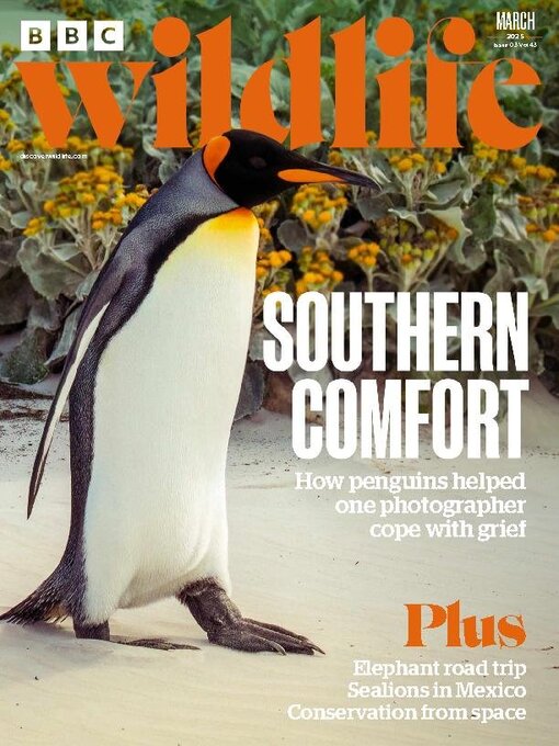 Title details for BBC Wildlife Magazine by Our Media Limited - Available